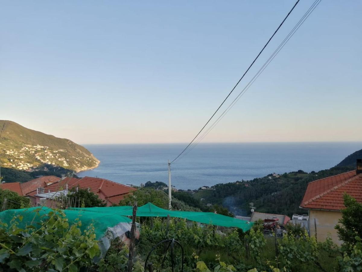 Willa Sentieri Sul Mare Moneglia Zewnętrze zdjęcie